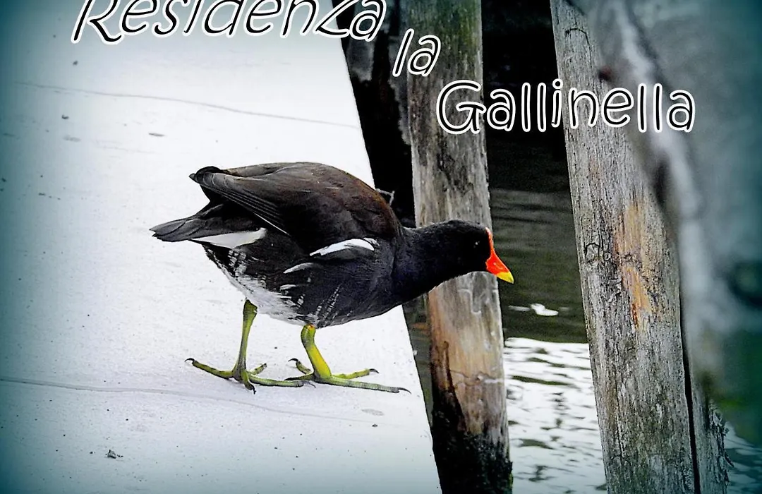 Residenza la Gallinella-1
